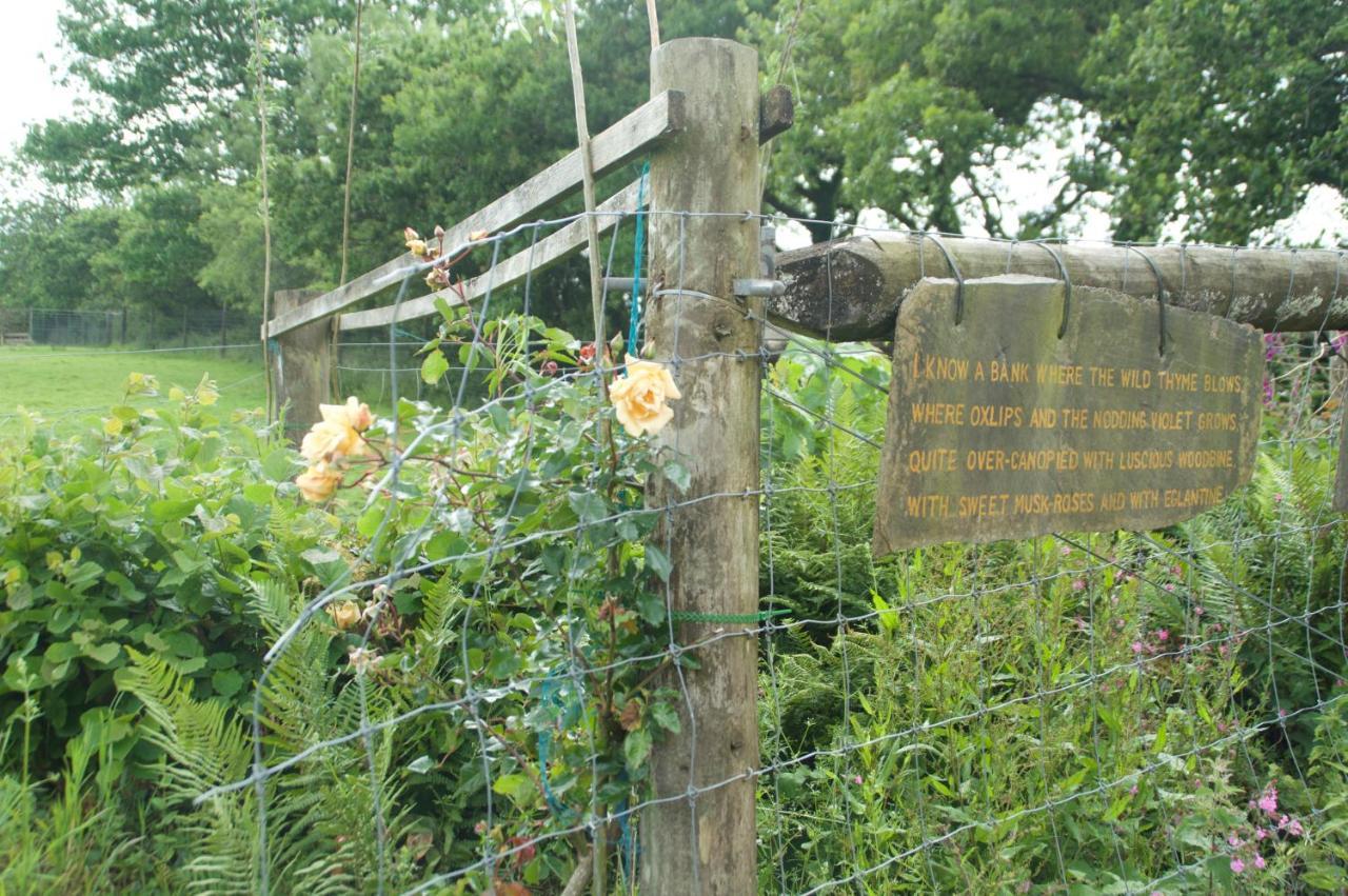 The Old Deer House Bed & Breakfast Bodmin Dış mekan fotoğraf